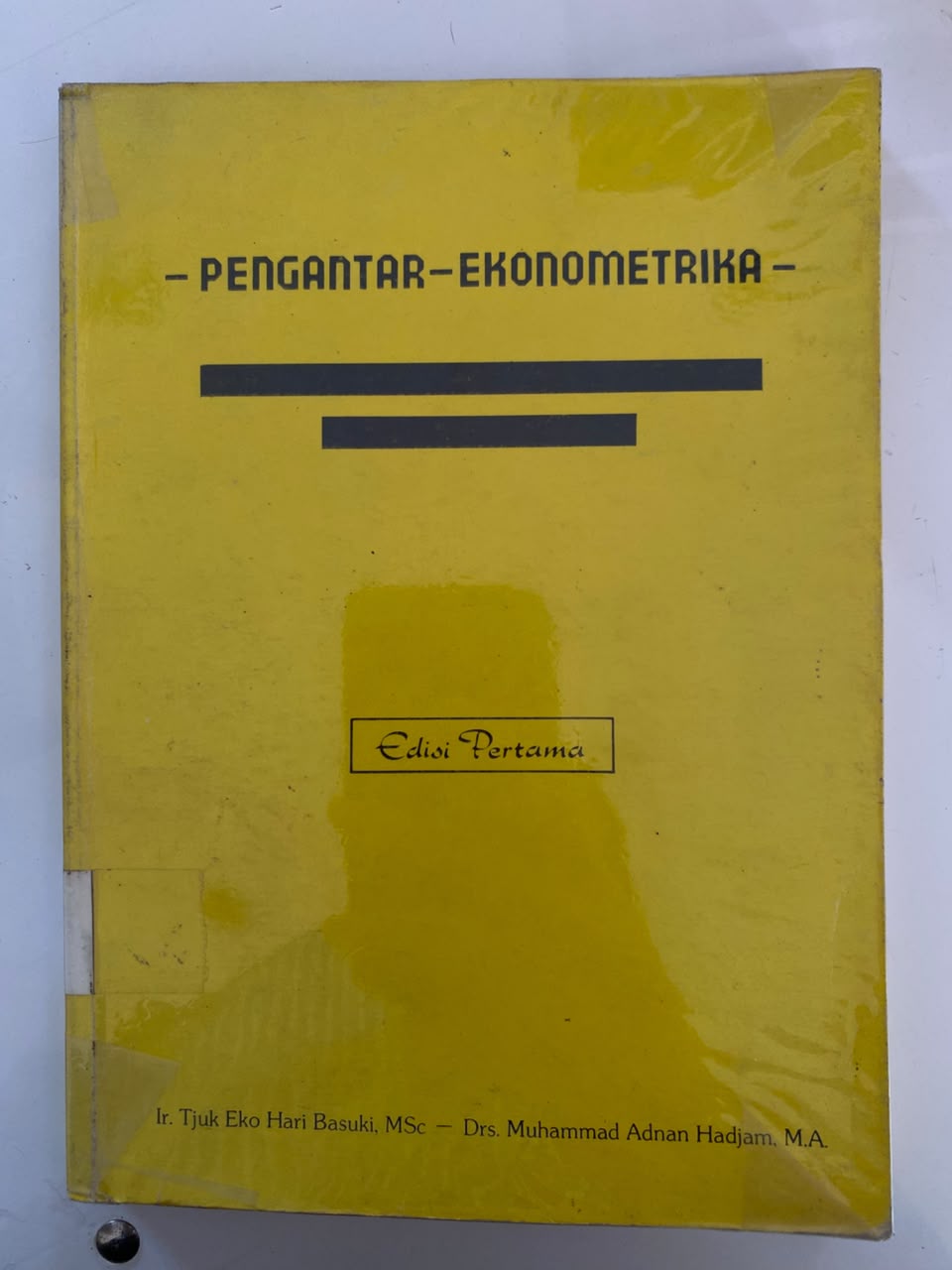 Pengantar Ekonometrika