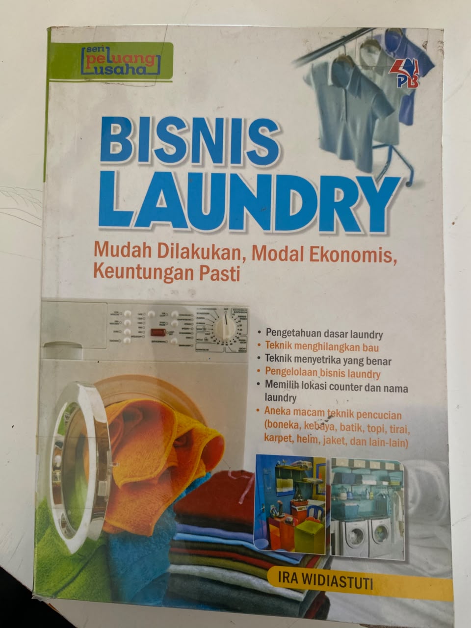 Bisnis Laundry