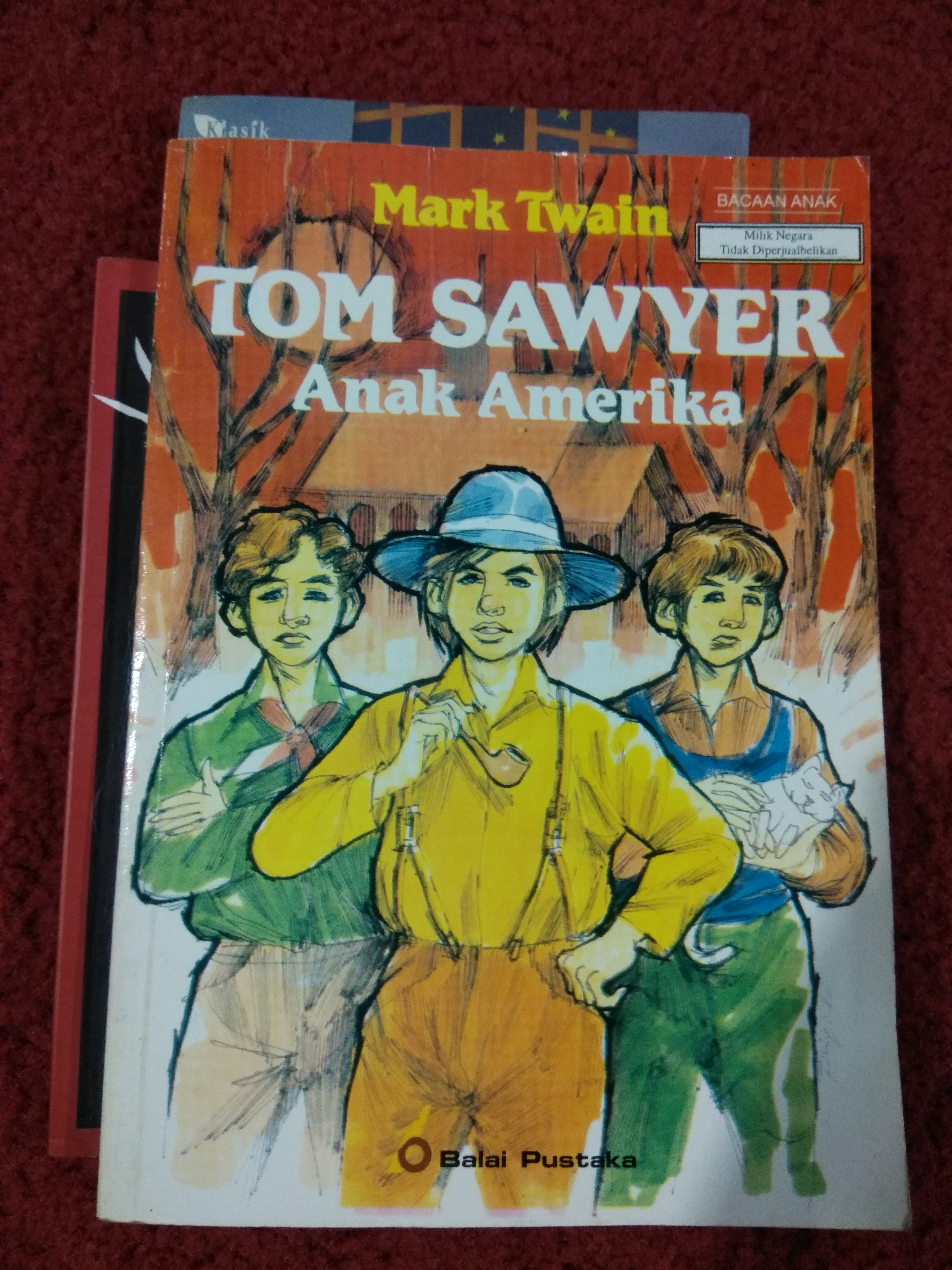 Tom Sawyer Anak Amerika